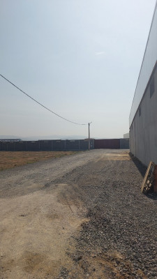 hangar-location-boumerdes-ouled-moussa-algerie