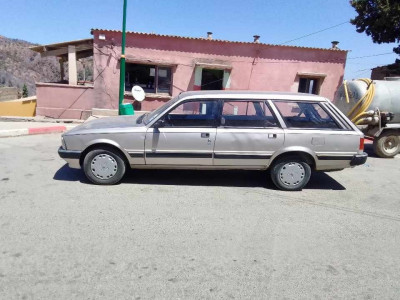 sedan-peugeot-505-1991-lakhdaria-bouira-algeria