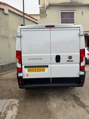 fourgon-fiat-ducato-caniche-h1l1-2023-ain-oulmene-setif-algerie