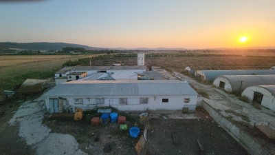 Sell Farmland El Tarf Ain el assel