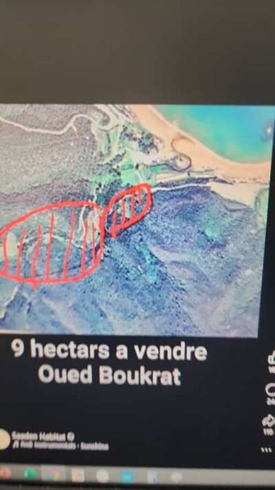 Sell Land Annaba Annaba