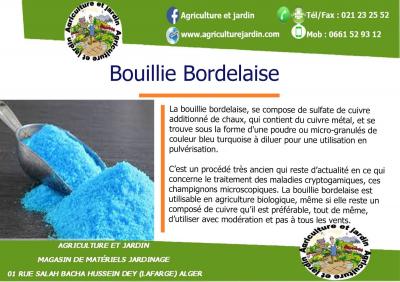 jardinage-bouillie-bordelaise-hussein-dey-alger-algerie