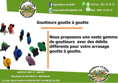 jardinage-goutteurs-hussein-dey-alger-algerie