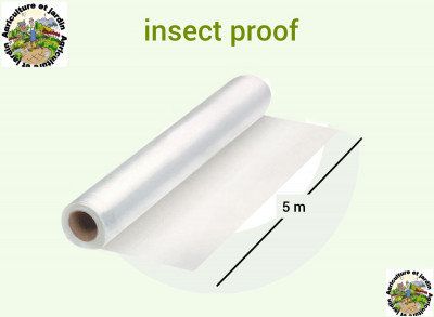 insect proof 