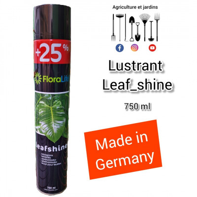 Lustrant feuilles produit allemand 