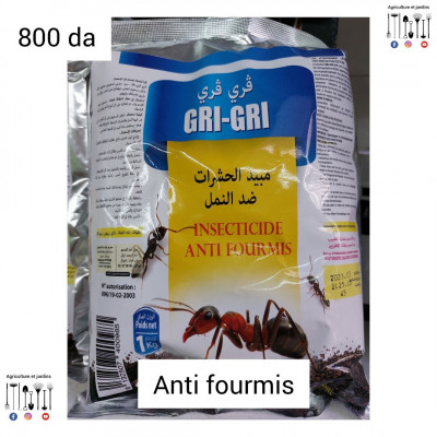 anti fourmis