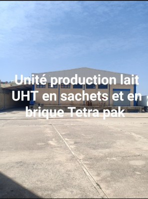 usine-vente-tizi-ouzou-algerie