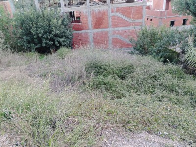 Vente Terrain Béjaïa Bejaia