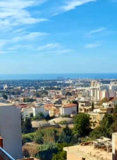 Location Local Alger Dely brahim