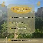 بيع أرض الجزائر بئر خادم