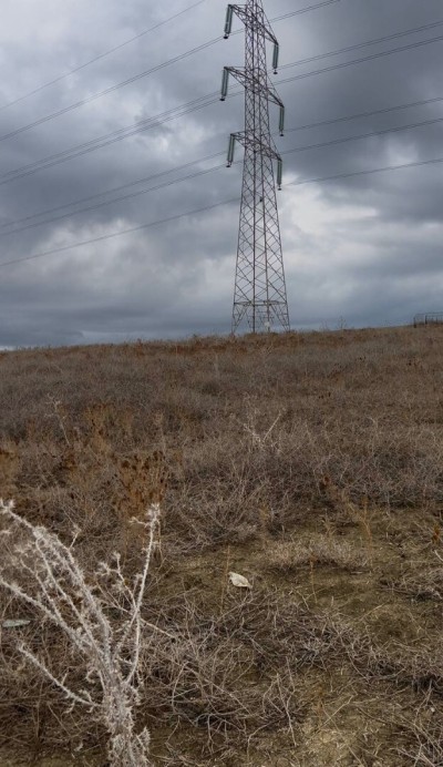 بيع أرض بومرداس زموري