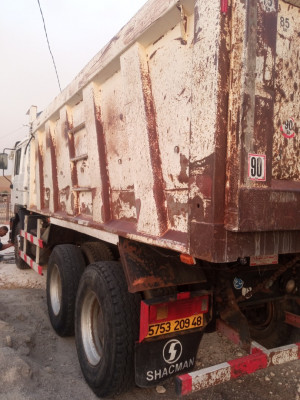 camion-shacmane-2009-oued-rhiou-relizane-algerie