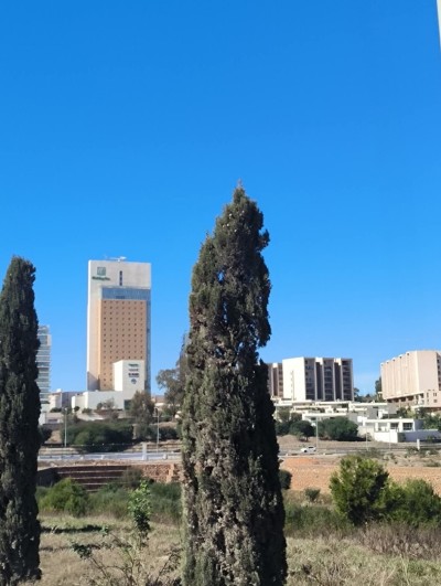 Vente Appartement F3 F4 Alger Cheraga