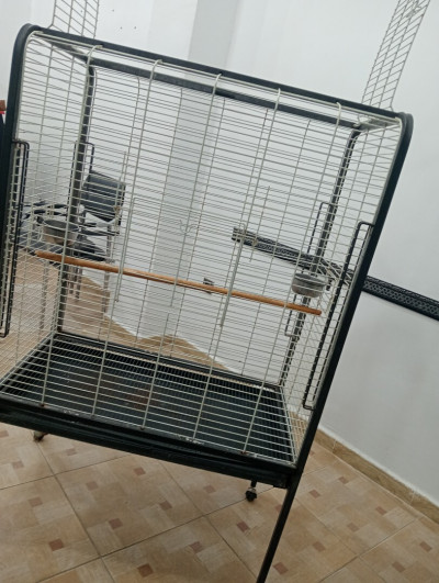 accessoire-pour-animaux-cage-perroquet-kolea-tipaza-algerie