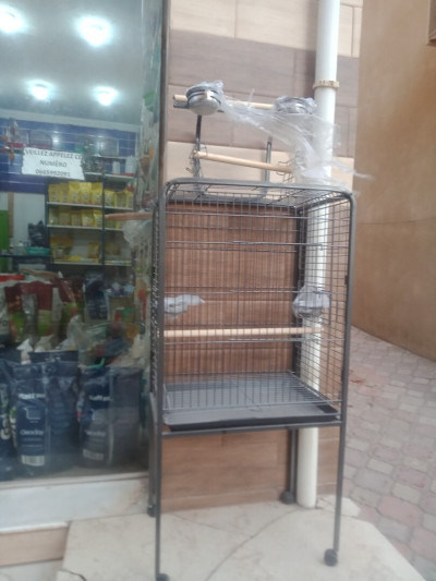 accessoire-pour-animaux-cage-perroquet-avec-perchoir-kolea-tipaza-algerie