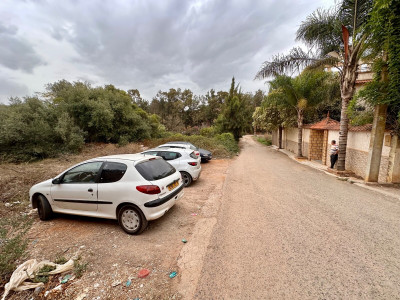 terrain-vente-alger-saoula-algerie