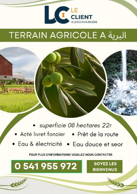 terrain-agricole-vente-oran-el-braya-algerie