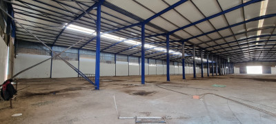 Location Hangar Oran Sidi chami