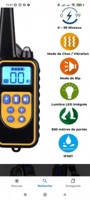 LAMPE DE CAMPING - BL50 DYNAMO RECHARGEABLE - 50 LUMENS - DECATHLON El  Djazair