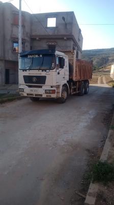 camion-chacman-shnkci-oulhaca-el-gheraba-ain-temouchent-algerie