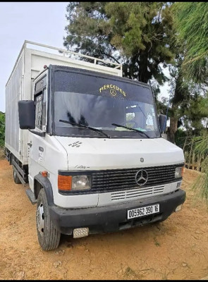 camion-mercedes-609-d-draria-alger-algerie