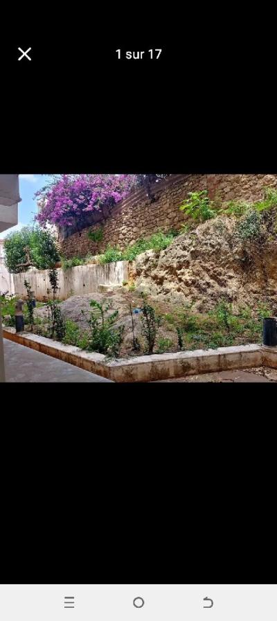 Rent Apartment F4 Alger El mouradia