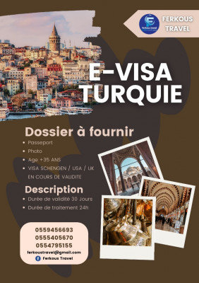 حجوزات-و-تأشيرة-e-visa-turquie-الرغاية-الجزائر