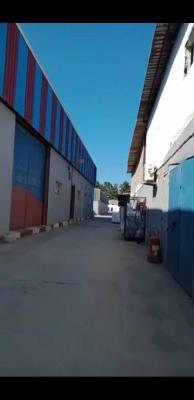 usine-vente-alger-reghaia-algerie