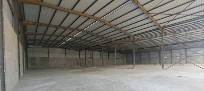 Location Hangar Boumerdès Hammedi