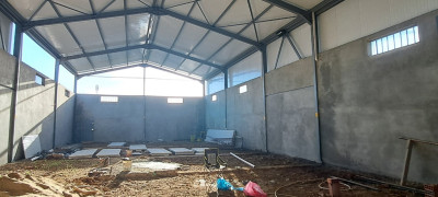 Location Hangar Blida Larbaa