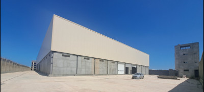 Location Hangar Boumerdes Ouled moussa