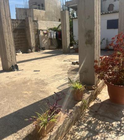 Vente Terrain Boumerdès Boumerdes