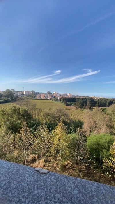 Vente Appartement F4 Boumerdès Boumerdes