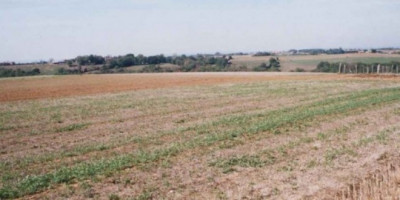 terrain-agricole-location-medea-el-guelbelkebir-algerie