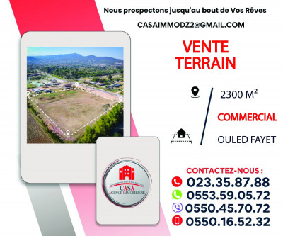Sell Land Alger Ouled fayet