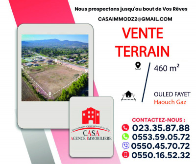 Vente Terrain Alger Ouled fayet