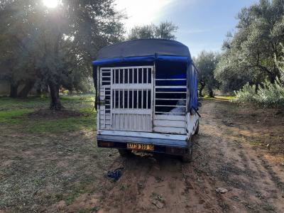 pickup-jmc-coumrsil-2003-mchedallah-bouira-algerie