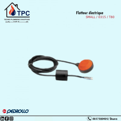 Flotteur électrique  (SMALL/0315/T80)