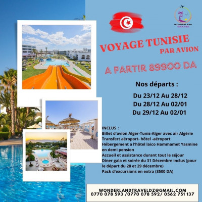 voyage-organise-tunisie-par-avion-sidi-mhamed-alger-algerie