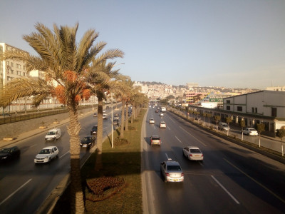 Sell Land Algiers Birkhadem