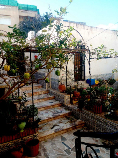 niveau-de-villa-location-f4-alger-kouba-algerie