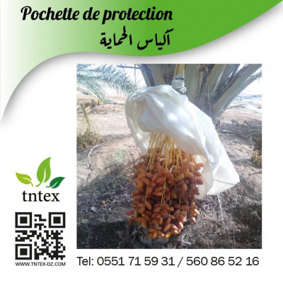 agricole-pochette-de-protection-des-dattes-أكياس-حماية-التمور-guidjel-setif-algerie