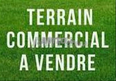 Sell Land Alger Cheraga