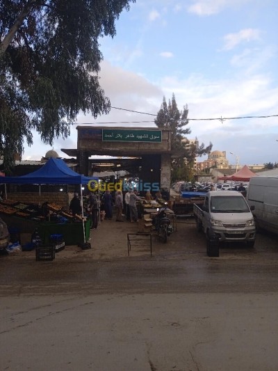 Sell Commercial Alger Cheraga