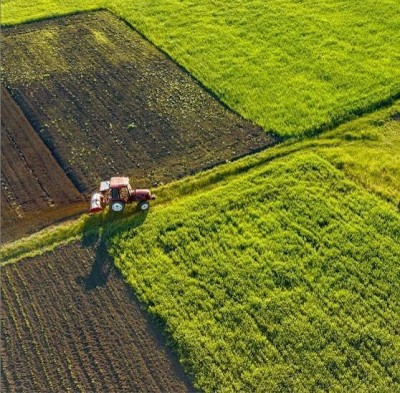 Vente Terrain Agricole Alger Ouled fayet