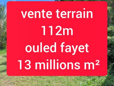 بيع أرض الجزائر أولاد فايت
