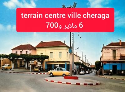 أرض-بيع-الجزائر-شراقة