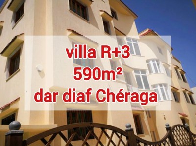 Vente Villa Alger Dely brahim