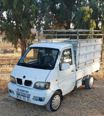 camionnette-dfsk-mini-truck-2012-sc-2m30-constantine-algerie