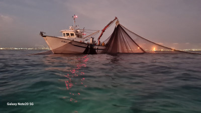 bateaux-pneumatique-سفينة-الفجر-الصيد-إسبانية-الصنع-للبيع-mostaganem-algerie